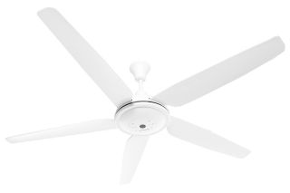 Quạt trần 5 cánh Kangaroo KGSF056051 56W